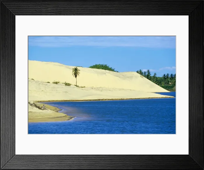 Framed Print : Palm trees, sand dunes and a lagoon near the Ceara coastline, near Canoa Quedrada Framed Print : Palm trees, sand dunes and a lagoon near the Ceara coastline, near Canoa Quedrada
