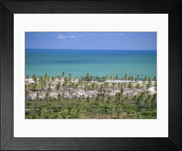 Framed Print : Palm trees on sand dunes, Pitangui, Natal, Rio Grande do Norte state, Brazil Framed Print : Palm trees on sand dunes, Pitangui, Natal, Rio Grande do Norte state, Brazil