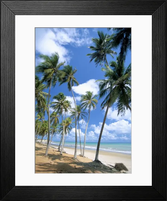 Framed Print : Cabo de Sao Roque, Natal, Rio Grande do Norte state, Brazil, South America Framed Print : Cabo de Sao Roque, Natal, Rio Grande do Norte state, Brazil, South America