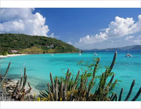Jost Van Dyke island, British Virgin Islands, Caribbean, West Indies, Central America