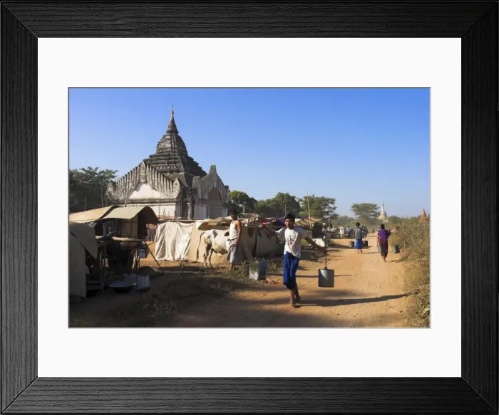 Framed Print : Pilgrims from the country camp with their bullock carts in the grounds around the temple Framed Print : Pilgrims from the country camp with their bullock carts in the grounds around the temple