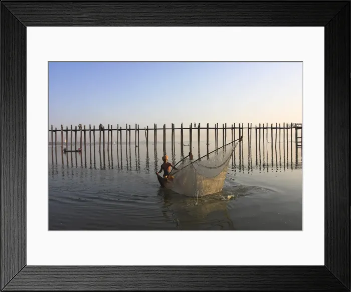 Framed Print : Man fishing with large net by U Beins Bridge, Taugthaman Lake, Amarapura Framed Print : Man fishing with large net by U Beins Bridge, Taugthaman Lake, Amarapura