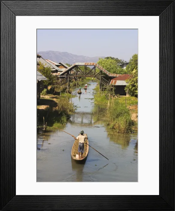 Framed Print : Men standing up paddling canoes through floating village, Inle Lake, Shan State Framed Print : Men standing up paddling canoes through floating village, Inle Lake, Shan State