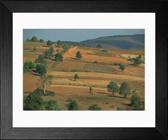 Framed Print : Aerial view over farmers in an agricultural landscape, near Pindaya, Myanmar (Burma) Framed Print : Aerial view over farmers in an agricultural landscape, near Pindaya, Myanmar (Burma)