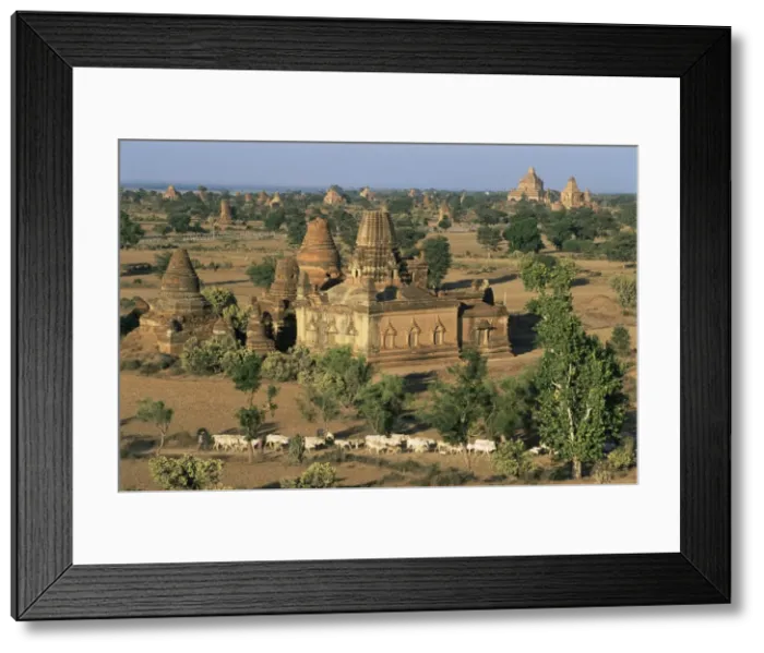 Framed Print : View north from Gayokpyemin Pagoda across Bagan (Pagan), Myanmar (Burma), Asia Framed Print : View north from Gayokpyemin Pagoda across Bagan (Pagan), Myanmar (Burma), Asia