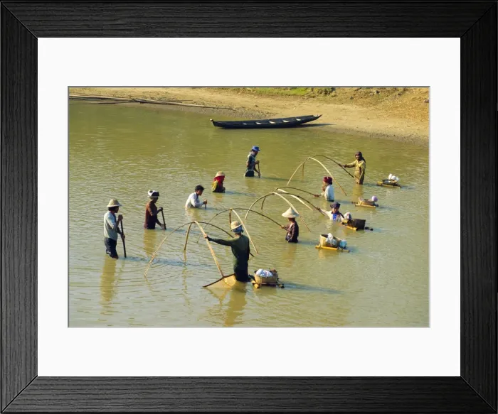 Framed Print : Traditional fishing, mouth of Sittang River, Myanmar, Asia Framed Print : Traditional fishing, mouth of Sittang River, Myanmar, Asia
