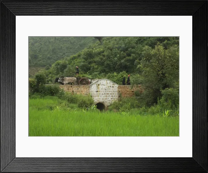 Framed Print : Bridge built by a local NGO, Thit Twin, Shan State, Myanmar (Burma), Asia Framed Print : Bridge built by a local NGO, Thit Twin, Shan State, Myanmar (Burma), Asia