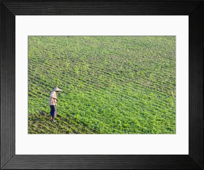 Framed Print : Farmer, Amarapura, Myanmar (Burma), Asia Framed Print : Farmer, Amarapura, Myanmar (Burma), Asia