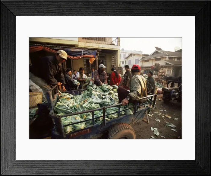 Framed Print : Cauliflower delivery, Pin Oo Lwyn, Myanmar (Burma), Asia Framed Print : Cauliflower delivery, Pin Oo Lwyn, Myanmar (Burma), Asia