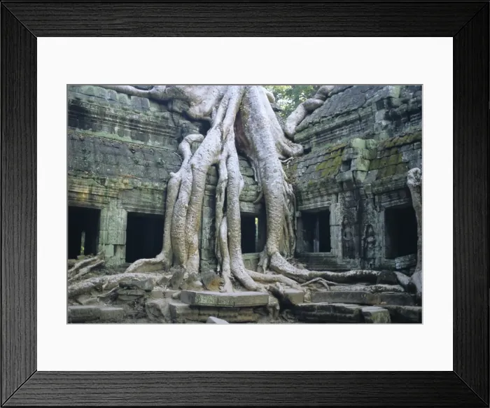 Framed Print : Ta Prohn, Angkor, Siem Reap, Cambodia, Indochina, Asia Framed Print : Ta Prohn, Angkor, Siem Reap, Cambodia, Indochina, Asia
