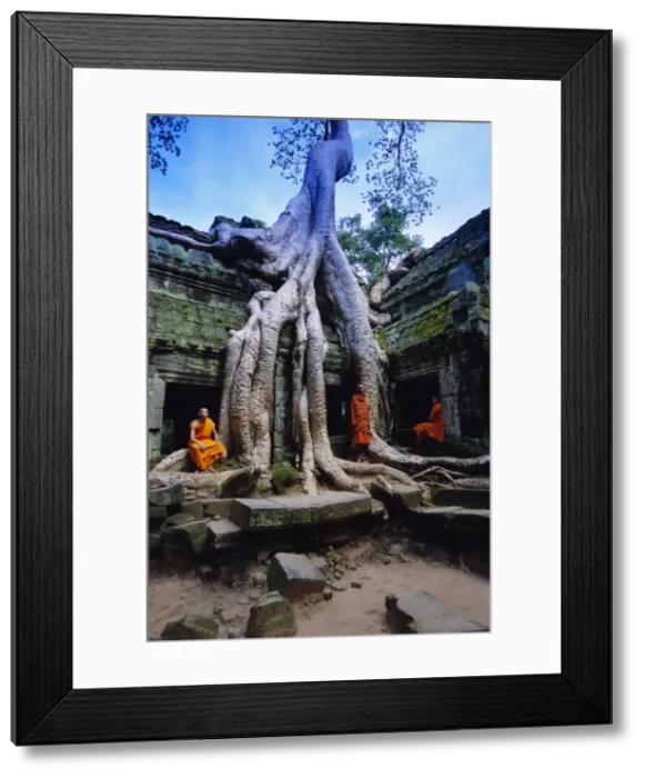 Framed Print : Monks in the Ta Prohm Temple, Angkor, UNESCO World Heritage Site, Siem Reap Framed Print : Monks in the Ta Prohm Temple, Angkor, UNESCO World Heritage Site, Siem Reap