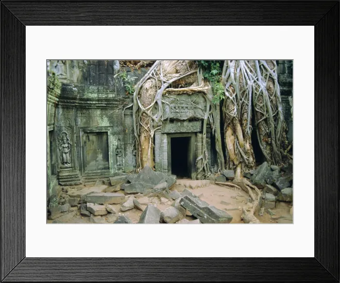 Framed Print : Tree roots overgrowng temple, Ta Prohm, Angkor, Cambodia, Asia Framed Print : Tree roots overgrowng temple, Ta Prohm, Angkor, Cambodia, Asia