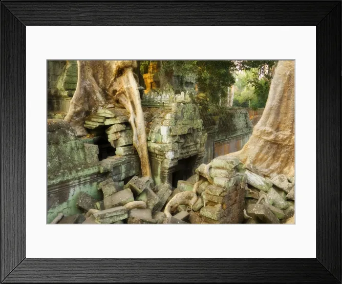Framed Print : Ta Prohm temple, Angkor, UNESCO World Heritage Site, Siem Reap, Cambodia Framed Print : Ta Prohm temple, Angkor, UNESCO World Heritage Site, Siem Reap, Cambodia