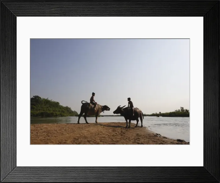 Framed Print : Two boys on water buffalo beside the Mekong river, near Kratie, eastern Cambodia Framed Print : Two boys on water buffalo beside the Mekong river, near Kratie, eastern Cambodia