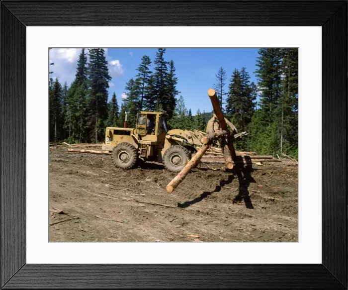 Framed Print : Loading logs, British Columbia, Canada, North America Framed Print : Loading logs, British Columbia, Canada, North America
