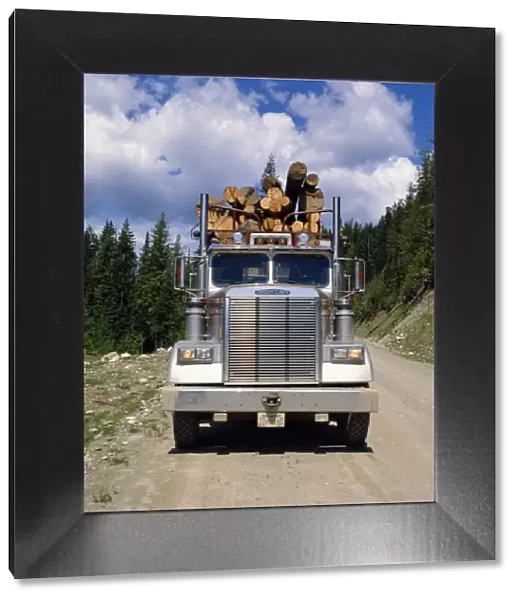 Logging truck, British Columbia, Canada, North America