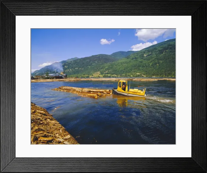Framed Print : Logs for processing, British Columbia, Canada Framed Print : Logs for processing, British Columbia, Canada