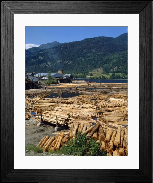 Framed Print : Lumber mill near Chase, British Columbia, Canada, North America Framed Print : Lumber mill near Chase, British Columbia, Canada, North America