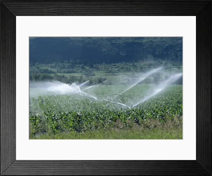 Framed Print : Irrigation system, British Columbia, Canada, North America Framed Print : Irrigation system, British Columbia, Canada, North America