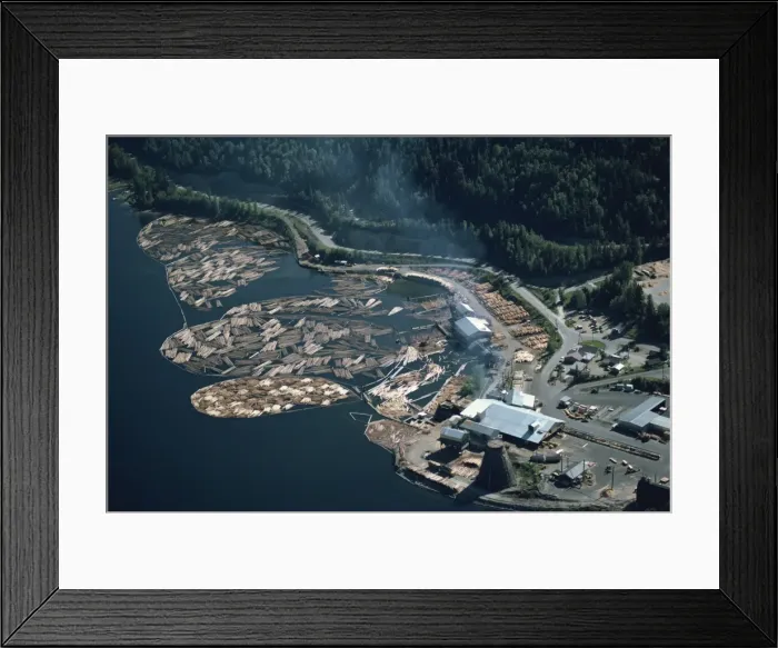 Framed Print : Aerial view of logs in the river beside a saw mill in British Columbia Framed Print : Aerial view of logs in the river beside a saw mill in British Columbia