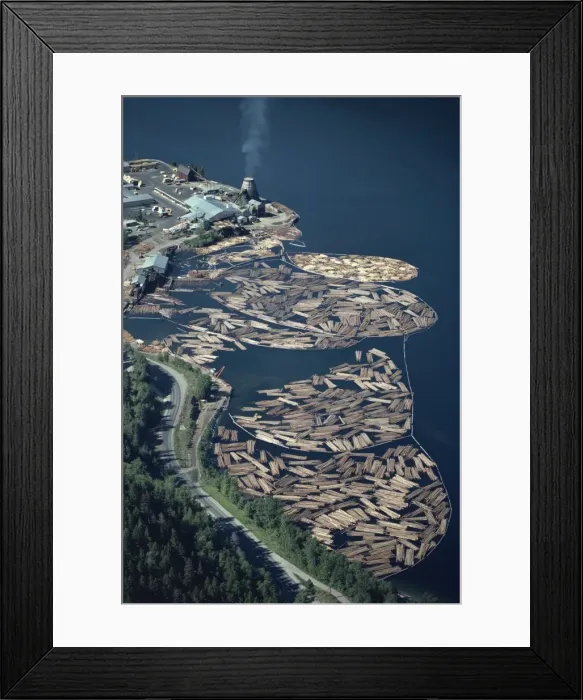 Framed Print : Aerial view of logs in the river beside a saw mill in British Columbia Framed Print : Aerial view of logs in the river beside a saw mill in British Columbia
