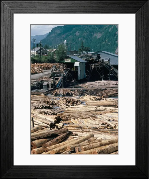 Framed Print : Sawmill, British Columbia, Canada, North America Framed Print : Sawmill, British Columbia, Canada, North America