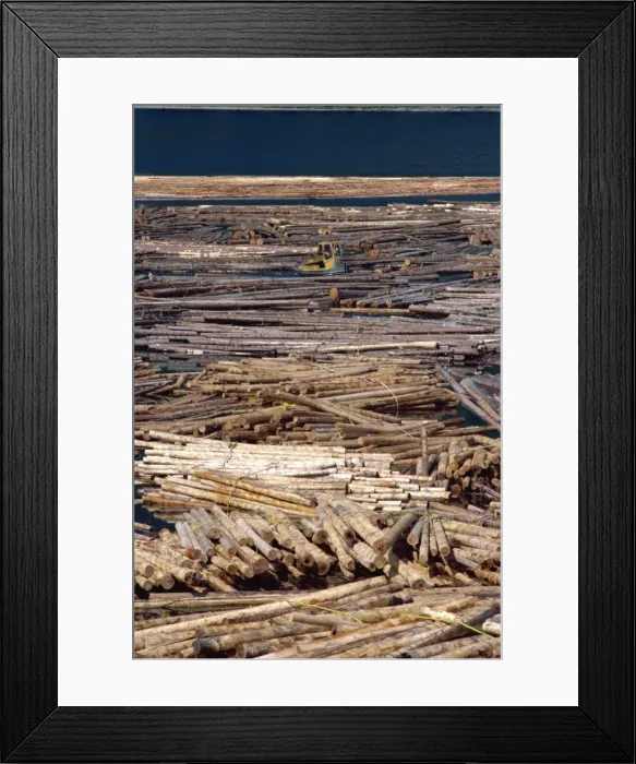 Framed Print : Sorting logs for mill, British Columbia, Canada, North America Framed Print : Sorting logs for mill, British Columbia, Canada, North America