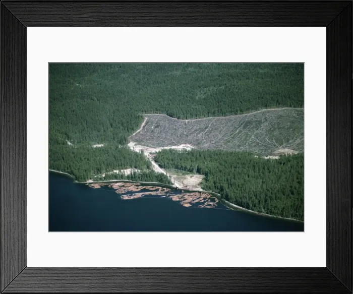 Framed Print : Logged area and surrounding forest from the air, British Columbia, Canada, North America Framed Print : Logged area and surrounding forest from the air, British Columbia, Canada, North America