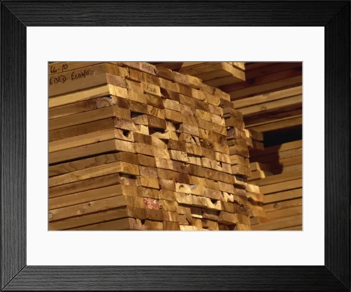 Framed Print : Timber, British Columbia, Canada, North America Framed Print : Timber, British Columbia, Canada, North America
