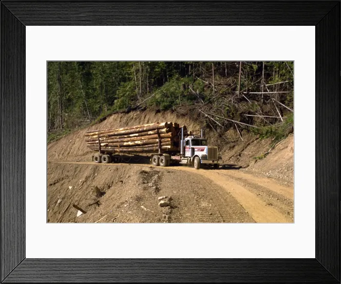 Framed Print : Logging truck, British Columbia, Canada, North America Framed Print : Logging truck, British Columbia, Canada, North America