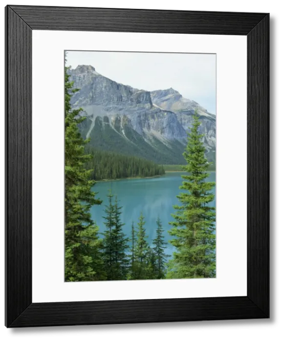 Framed Print : Emerald Lake, Yoho National Park, UNESCO World Heritage Site, Rocky Mountains Framed Print : Emerald Lake, Yoho National Park, UNESCO World Heritage Site, Rocky Mountains