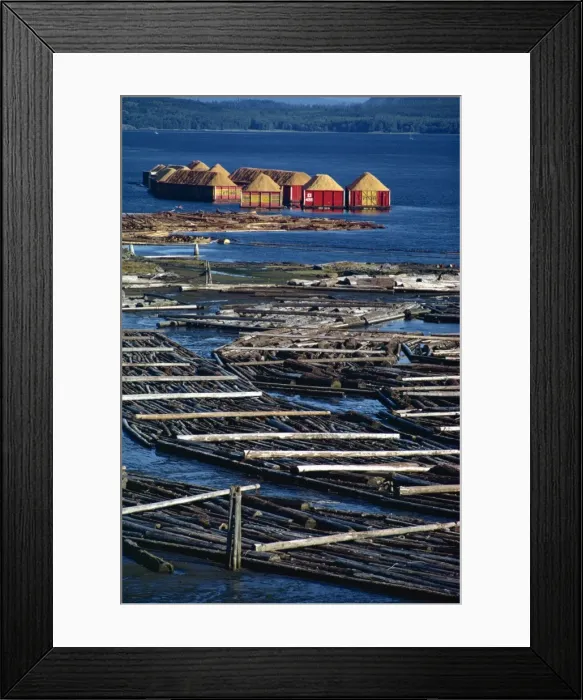 Framed Print : Logs booms on the Campbell River, British Columbia, Canada, North America Framed Print : Logs booms on the Campbell River, British Columbia, Canada, North America