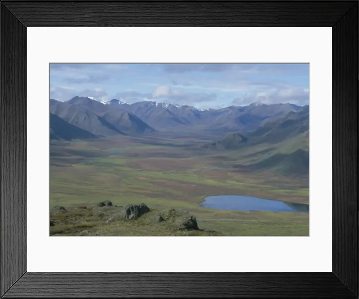Framed Print : North of Dawson City, Ogilvie Mountains, Yukon, Canada, North America Framed Print : North of Dawson City, Ogilvie Mountains, Yukon, Canada, North America