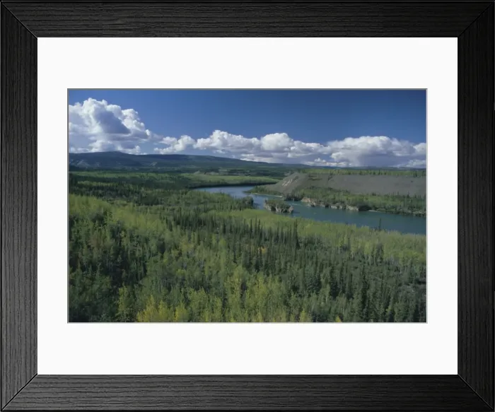 Framed Print : Five Fingers Rapids on the Yukon River, a navigation hazard on goldrush route between Dawson Framed Print : Five Fingers Rapids on the Yukon River, a navigation hazard on goldrush route between Dawson