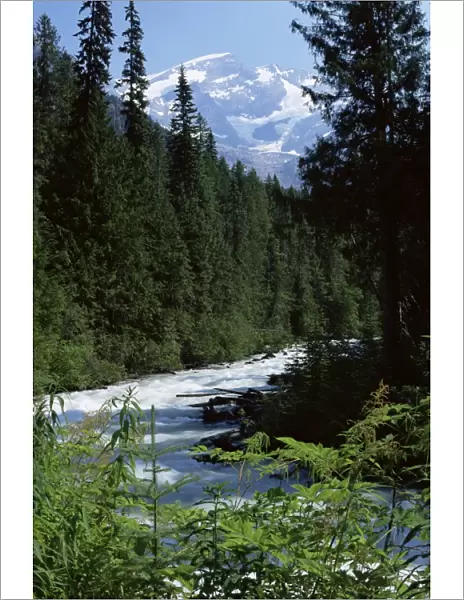 Canyon of the Fraser River, Mount Robson Provincial Park, UNESCO World Heritage Site