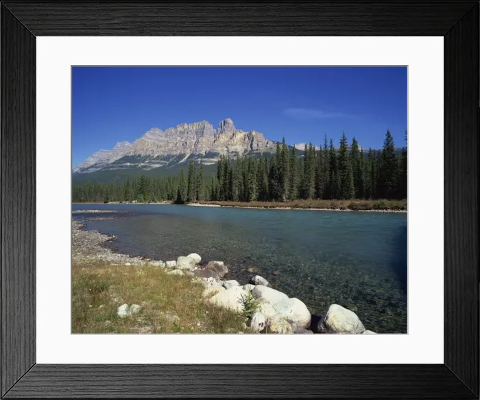 Framed Print : The Bow River with trees and Castle Mountain beyond in the Banff National Park Framed Print : The Bow River with trees and Castle Mountain beyond in the Banff National Park