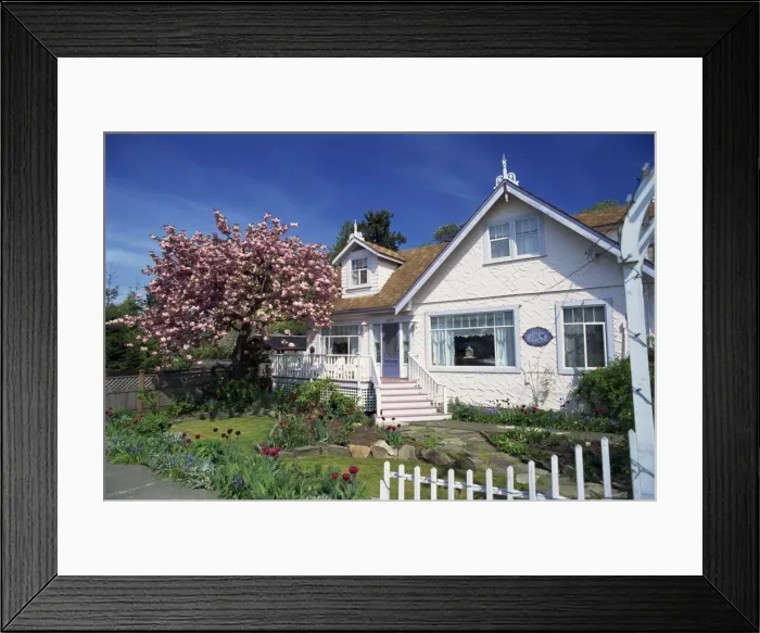 Framed Print : Chemainus Bed & Breakfast house and garden with flowering cherry tree on Vancouver Island Framed Print : Chemainus Bed & Breakfast house and garden with flowering cherry tree on Vancouver Island