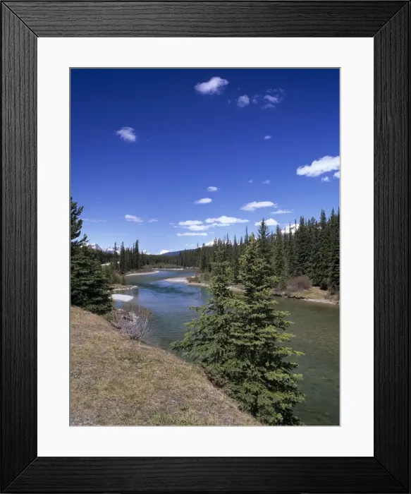 Framed Print : Bow River at Mount Temple viewpoint on the Trans-Canada Highway, Banff National Park Framed Print : Bow River at Mount Temple viewpoint on the Trans-Canada Highway, Banff National Park