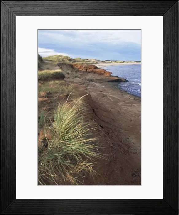 Framed Print : Cavendish coast, Prince Edward Island, Canada, North America Framed Print : Cavendish coast, Prince Edward Island, Canada, North America