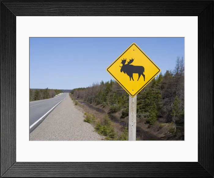Framed Print : Moose sign, Cape Breton Highlands National Park, Cape Breton, Nova Scotia Framed Print : Moose sign, Cape Breton Highlands National Park, Cape Breton, Nova Scotia