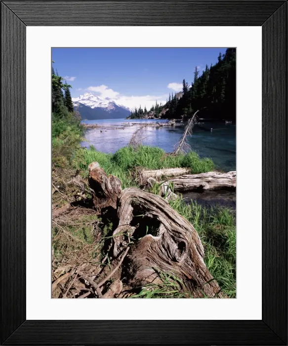 Framed Print : Garibaldi Provincial Park, British Columbia (B. C. ), Canada, North America Framed Print : Garibaldi Provincial Park, British Columbia (B. C. ), Canada, North America