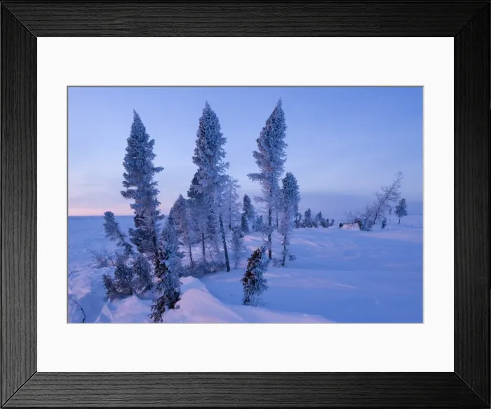 Framed Print : Winter Scenery, Churchill, Manitoba, Canada Framed Print : Winter Scenery, Churchill, Manitoba, Canada
