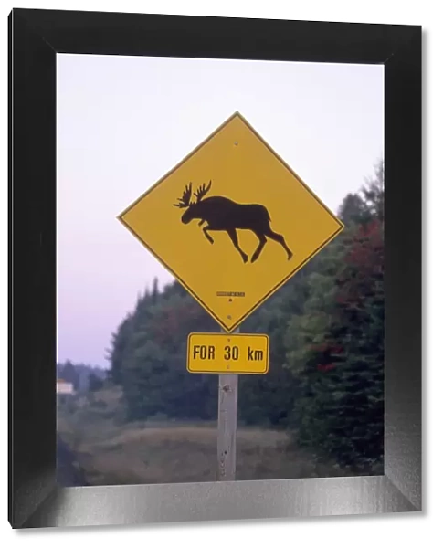 Sign, Moose crossing the road, Algonquin Provincial Park, Ontario, Canada, North America