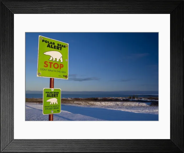 Framed Print : Sign, Polar bear alert at Hudson Bay, Churchill, Manitoba, Canada, North America
