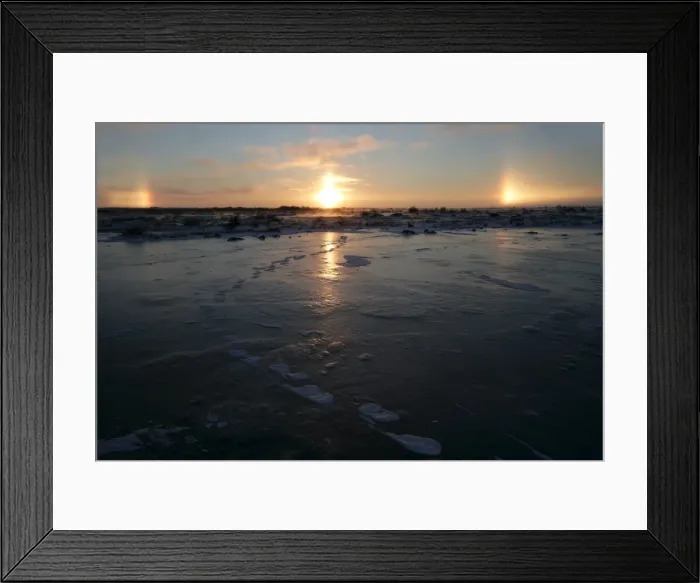 Framed Print : Sun dogs, polar bear tracks, Churchill, Hudson Bay, Manitoba, Canada, North America Framed Print : Sun dogs, polar bear tracks, Churchill, Hudson Bay, Manitoba, Canada, North America