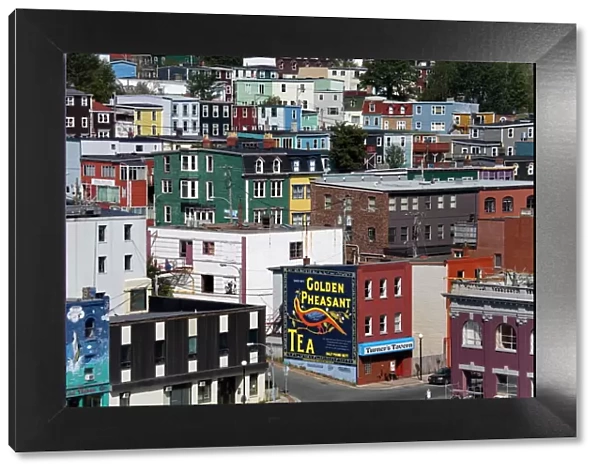 Colorful houses in St. Johns City, Newfoundland, Canada, North America