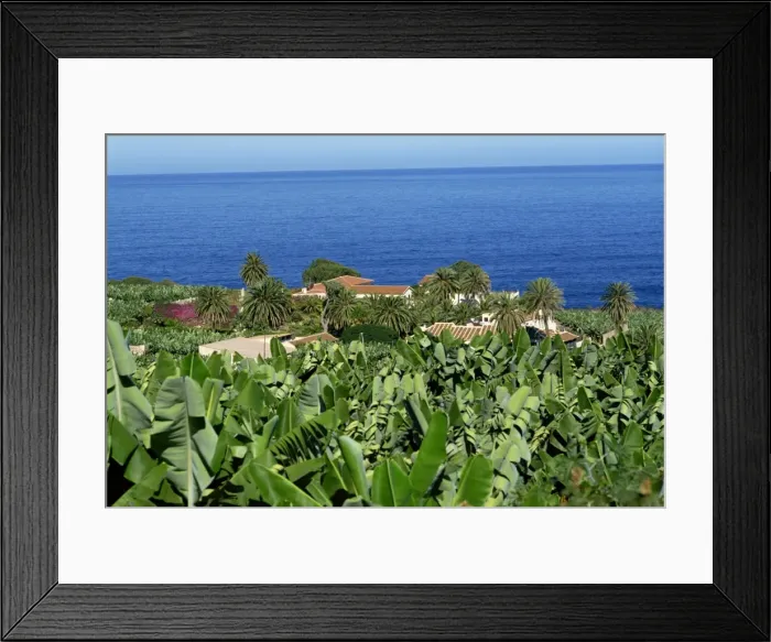 Framed Print : Banana plantations, Tenerife, Canary Islands, Spain, Atlantic, Europe Framed Print : Banana plantations, Tenerife, Canary Islands, Spain, Atlantic, Europe
