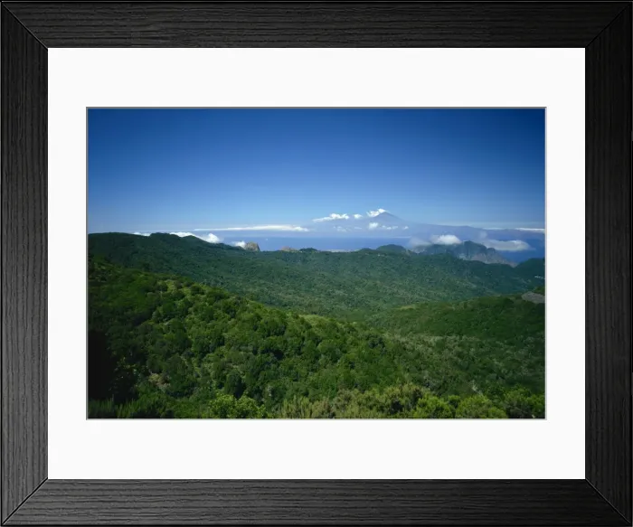 Framed Print : Garajonay National Park, UNESCO World Heritage Site, with island of Tenerife in background Framed Print : Garajonay National Park, UNESCO World Heritage Site, with island of Tenerife in background