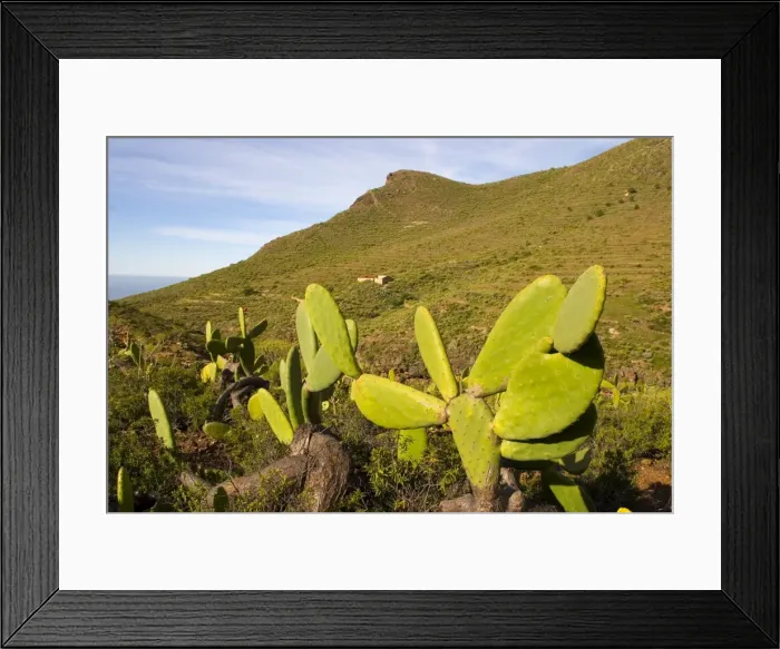 Framed Print : El Roque and succulent vegetation, Arona, south west Tenerife interior Framed Print : El Roque and succulent vegetation, Arona, south west Tenerife interior