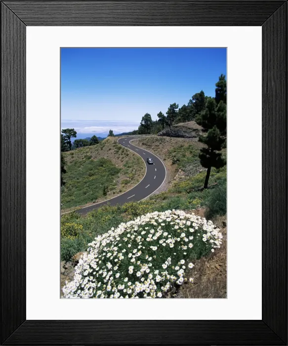 Framed Print : Road near Las Moradas, La Palma, Canary Islands, Spain, Europe Framed Print : Road near Las Moradas, La Palma, Canary Islands, Spain, Europe